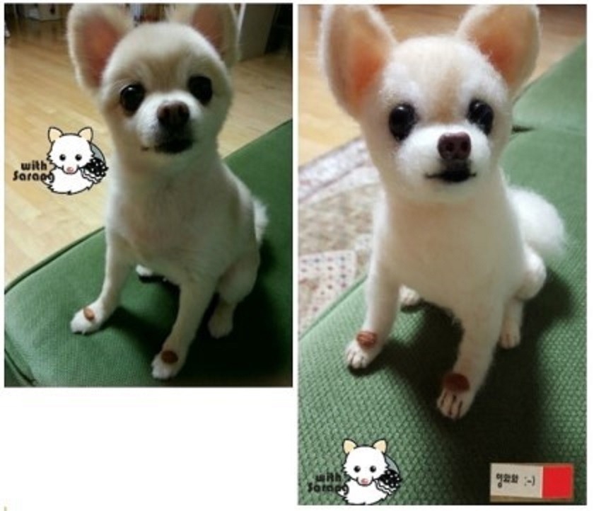 반려동물 인형 제작 | 인스티즈