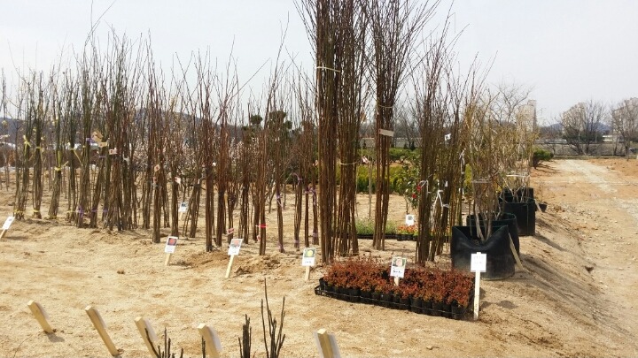 푸른조경농원 이미지