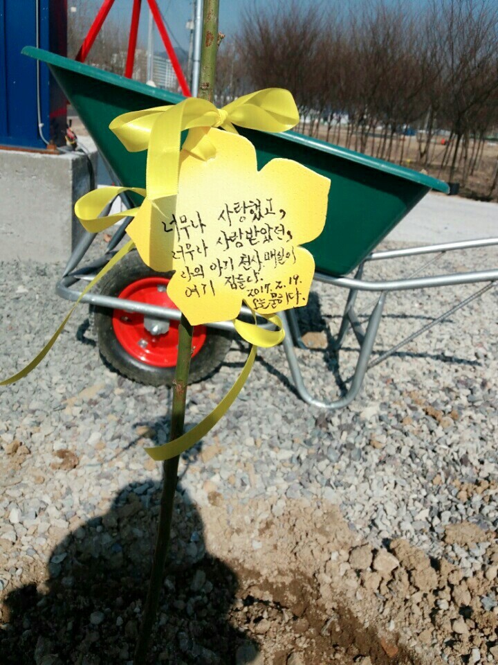 창녕 매실이 이야기를 아시나요?개소주가 되어서 돌아온 우리 매실이를 기억해주세요. 동물보호법강화를 위해 관심가져주세요 | 인스티즈