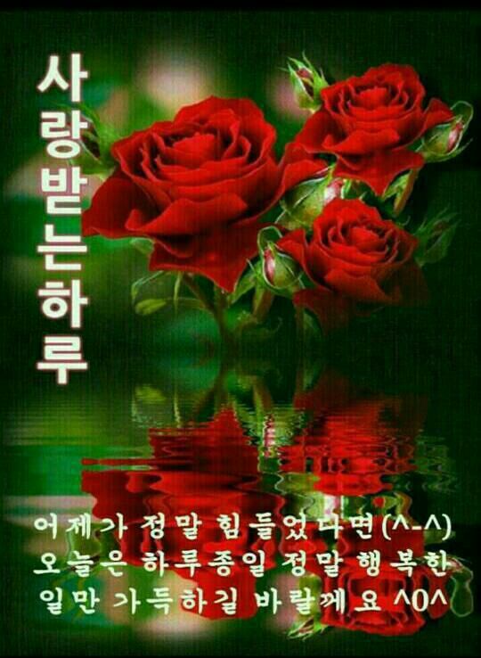 꽃인사 이미지