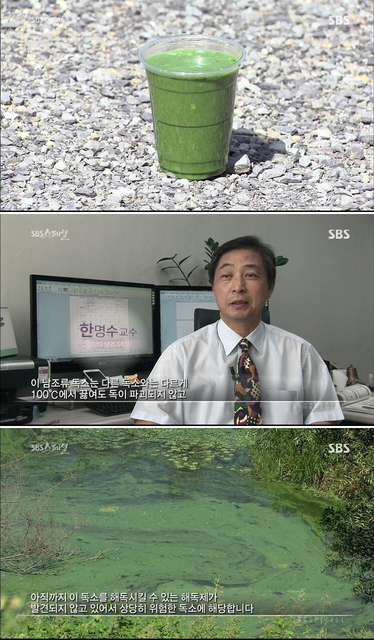 한국의 신 생화학 무기 | 인스티즈