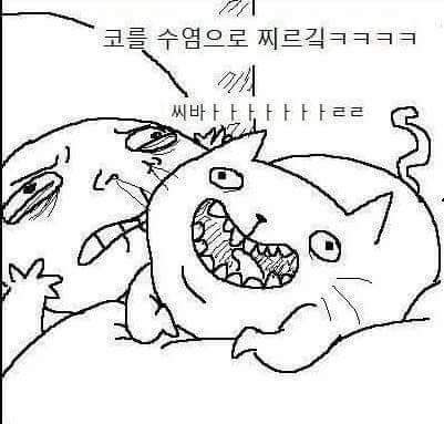 고양이 공감 (욕주의) | 인스티즈