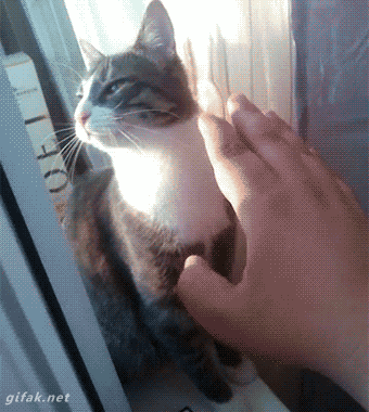 그놈의 하이파이브 지겹다 지겨워.GIF | 인스티즈