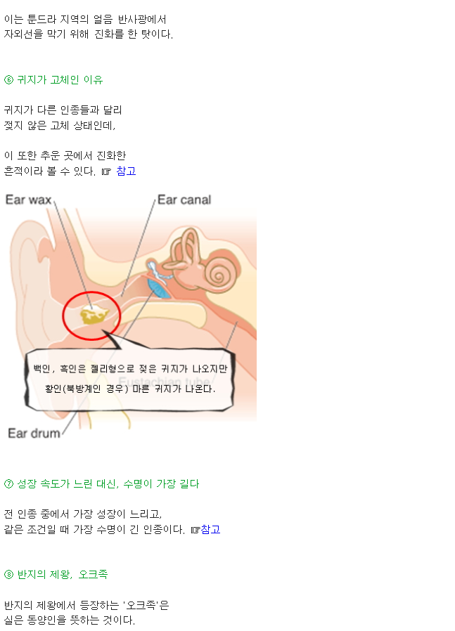 인종별 특징~ | 인스티즈