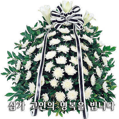 강경농업협동조합 이미지