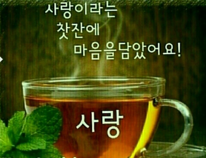이쁜여우 이미지