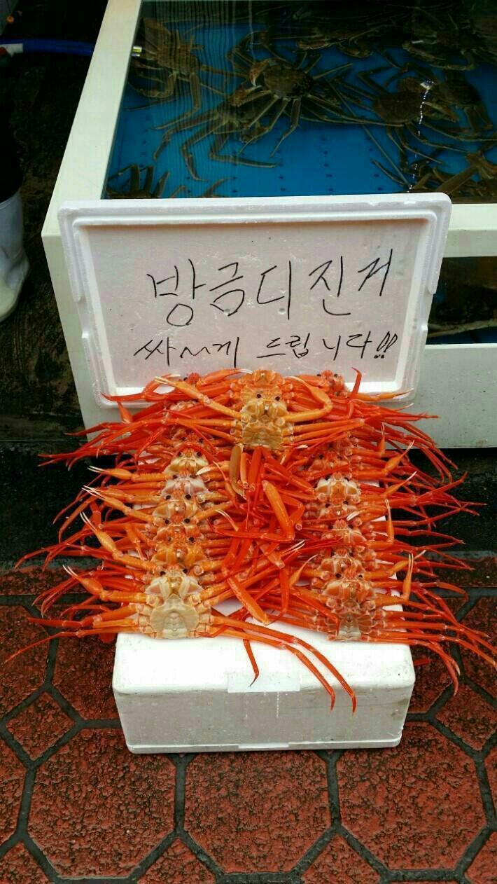 생각나네일 이미지