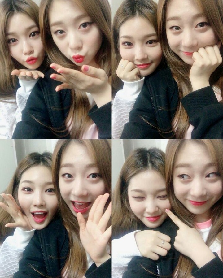 인-스타 이미지