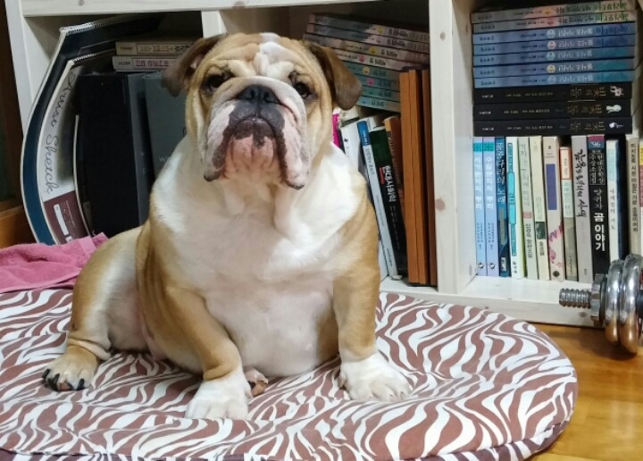 오두리 이미지