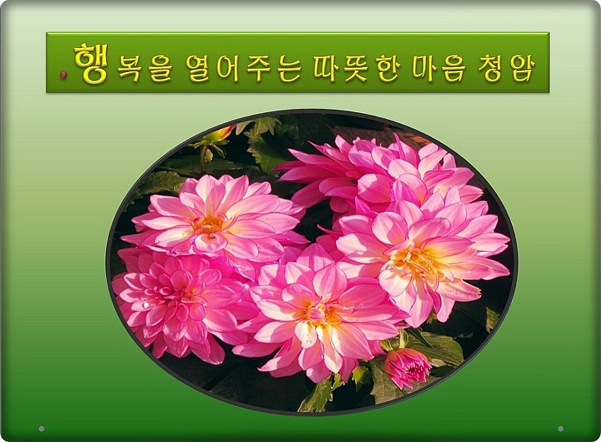 이슬향기 이미지
