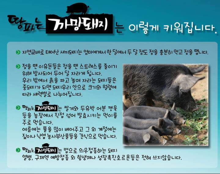 카페까망 이미지