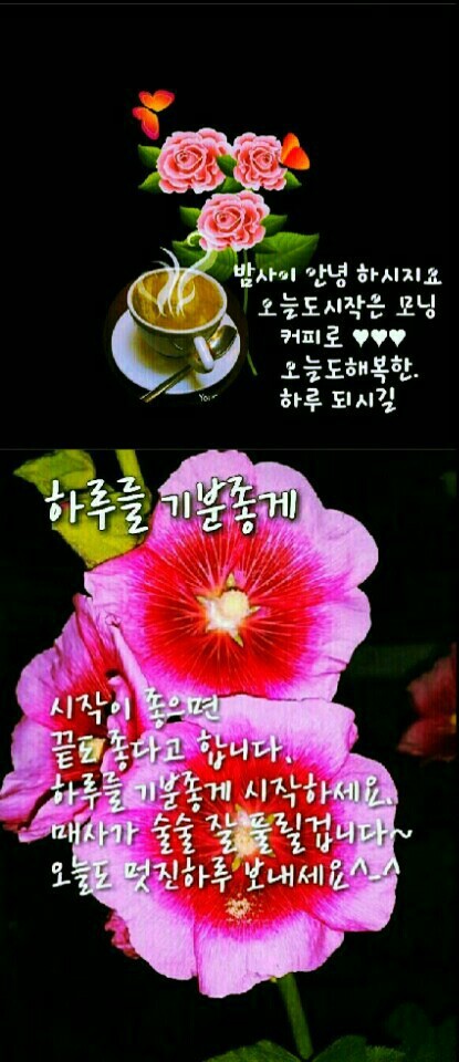 행복한하루 이미지