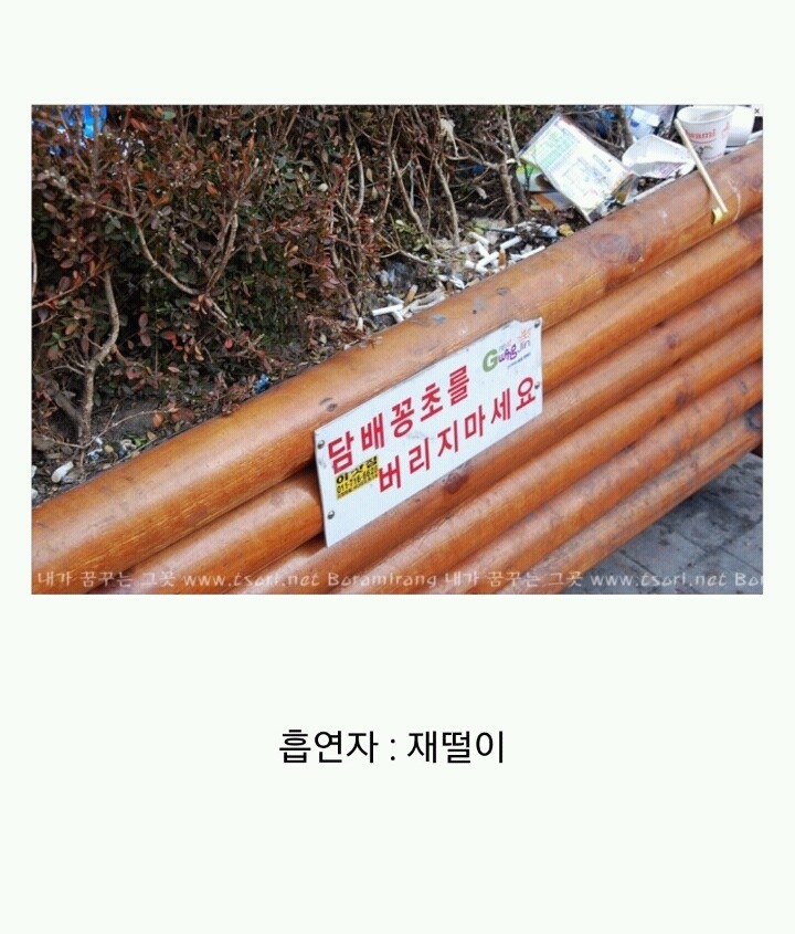 꽁초충 길빵충 가래충이 시룸인 이유 (feat.푸념주의) | 인스티즈