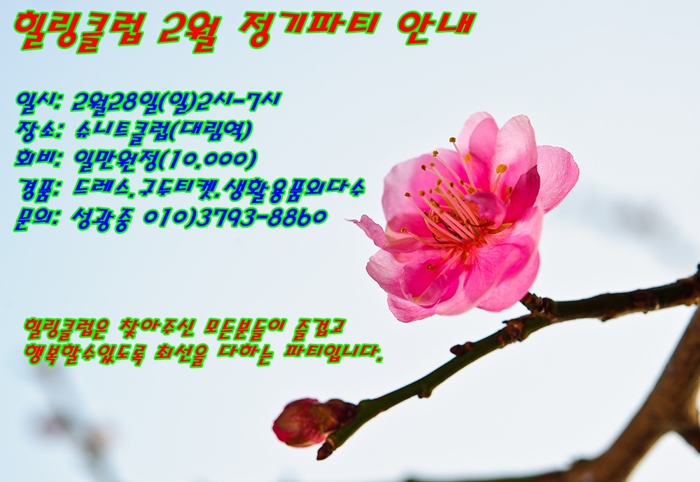 모던출장뷔페 이미지