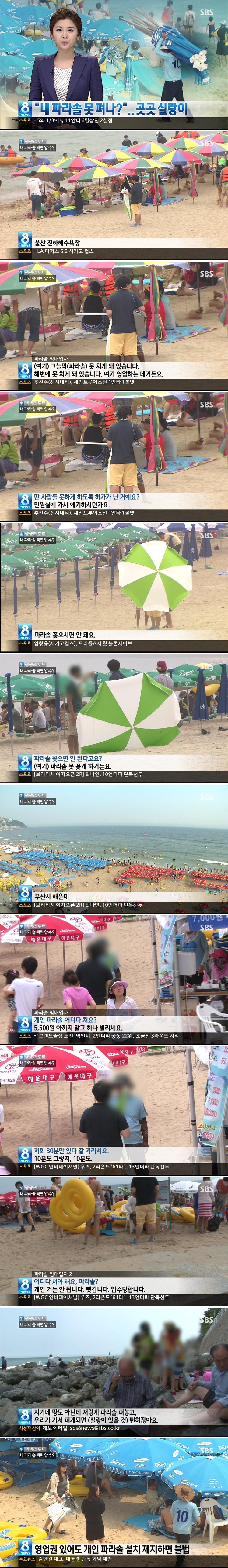 해수욕장 파라솔 전쟁.jpg | 인스티즈