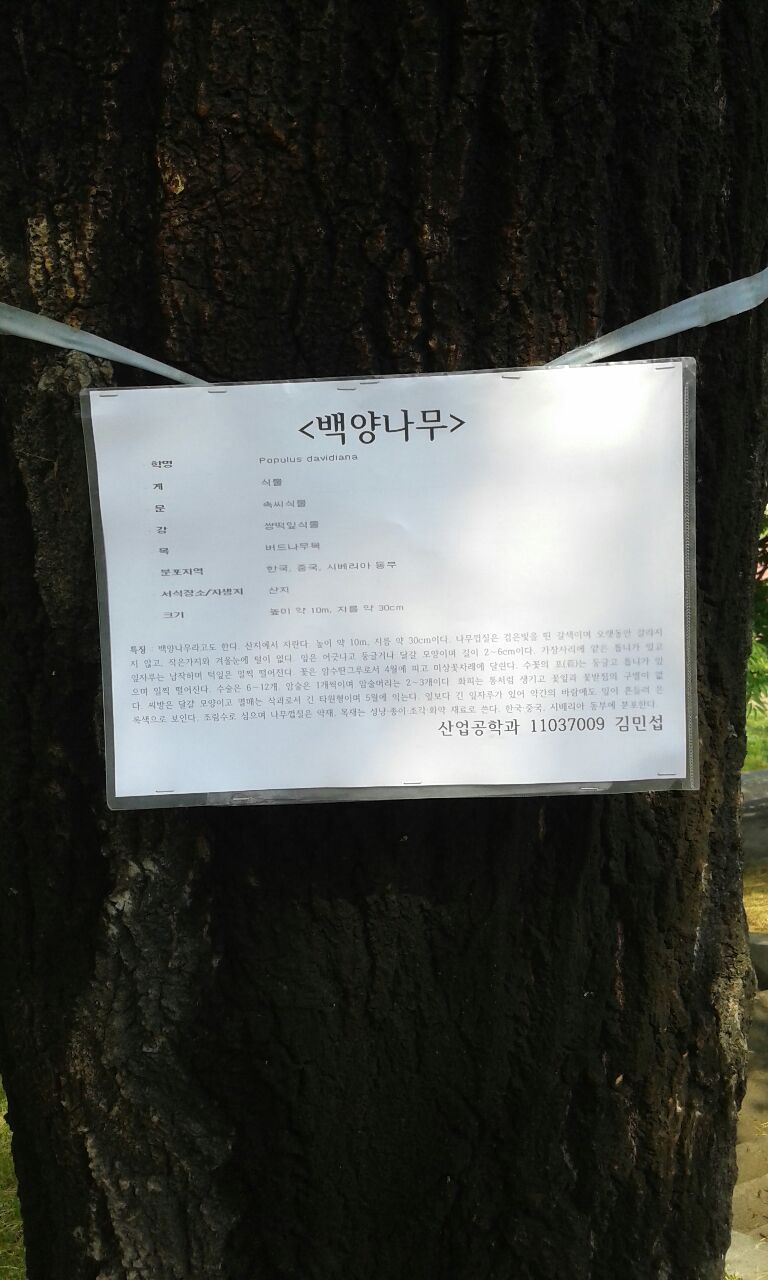 백양산업 이미지