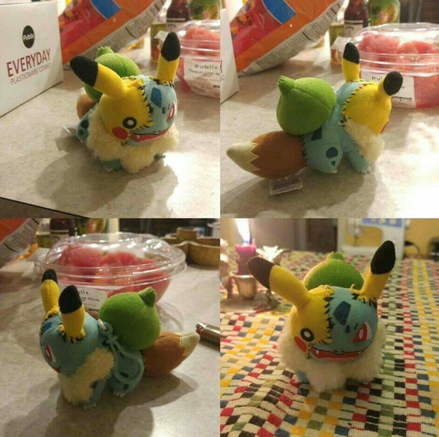 동생이 포켓몬스터 인형을 잔뜩 뽑아왔다 | 인스티즈