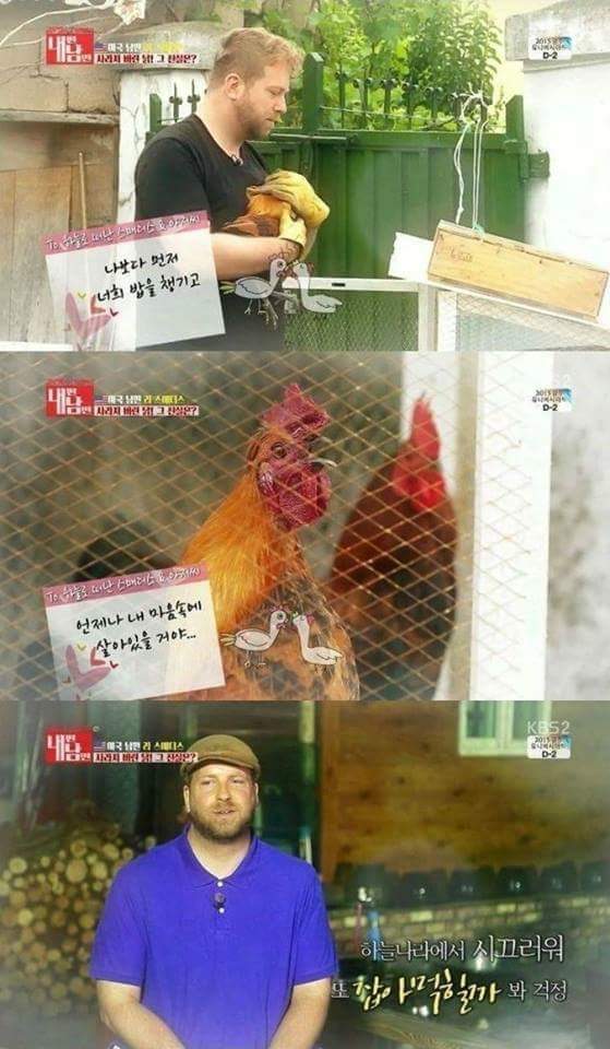 남편이 키운 닭 잡아먹은 아내 | 인스티즈