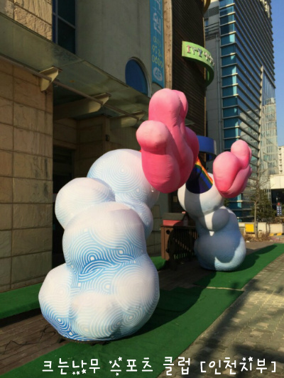 아이비키즈스포츠 이미지