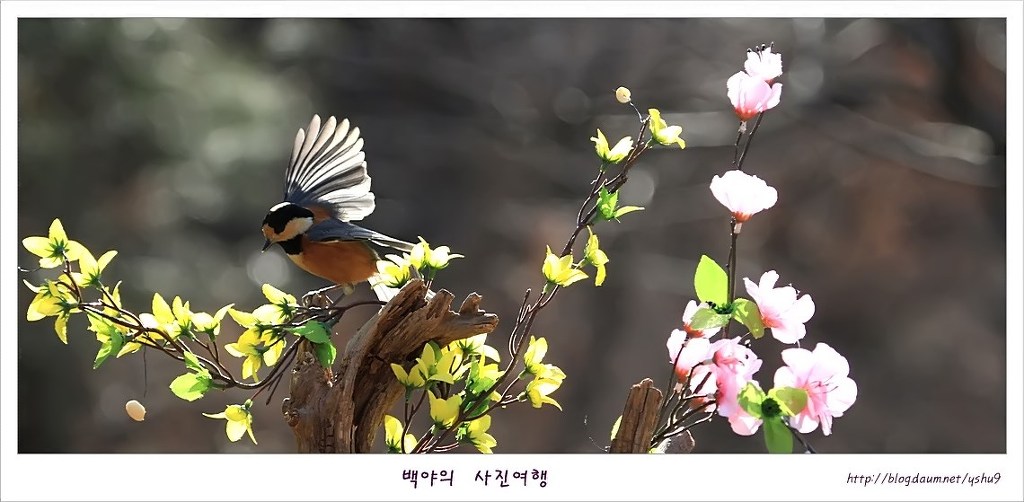 아름다운연출 이미지