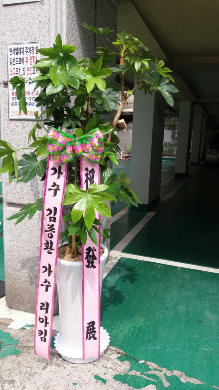 리틀차이나 이미지
