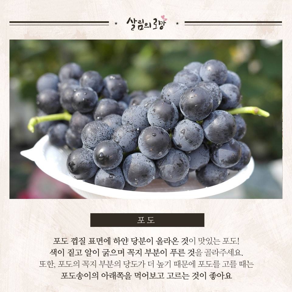 여름과일 잘 고르는 팁 | 인스티즈