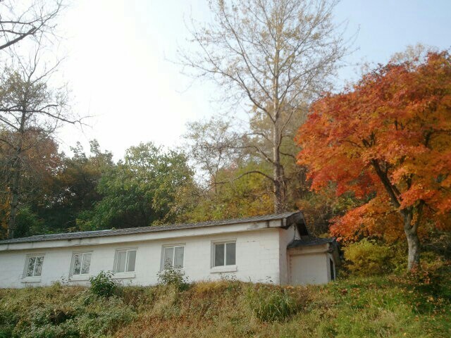 마달리 이미지