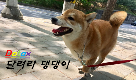 핫도그 | 인스티즈