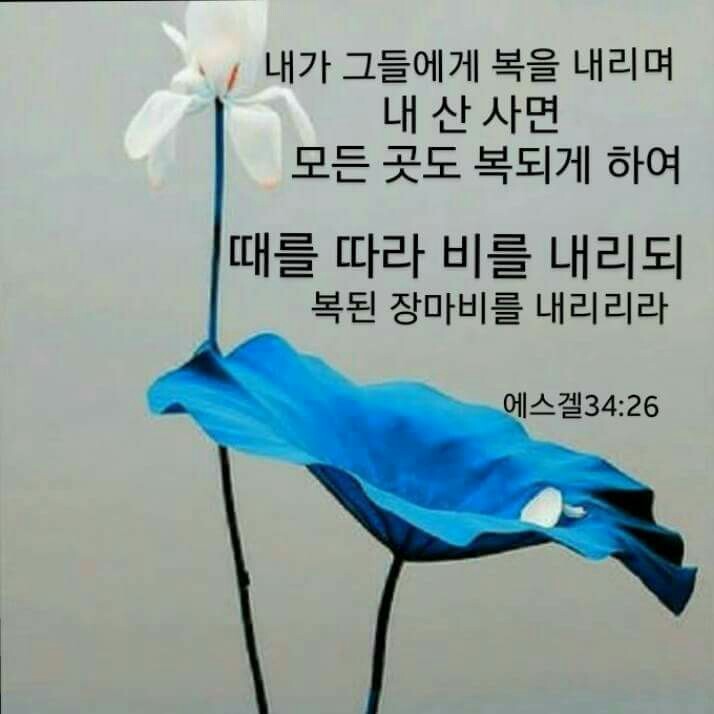 (주)만나 이미지