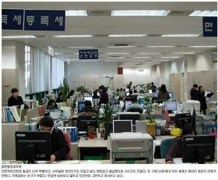 각 직업군별 종사자들이 하는 말 | 인스티즈