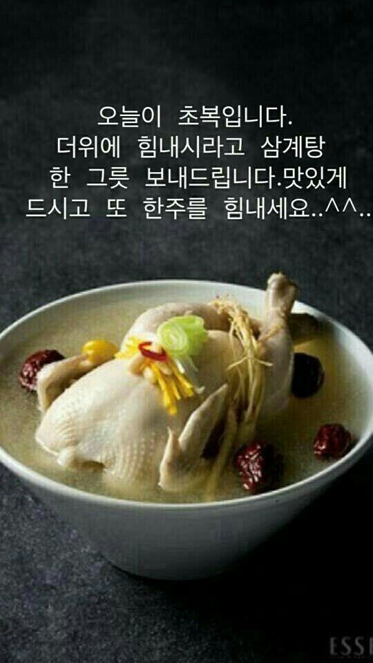 담음 이미지