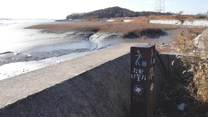시골정 이미지