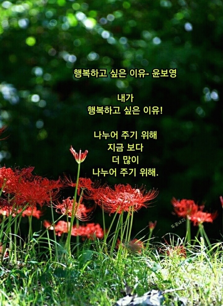 행운나눔 이미지