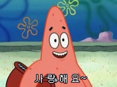 호정 이미지