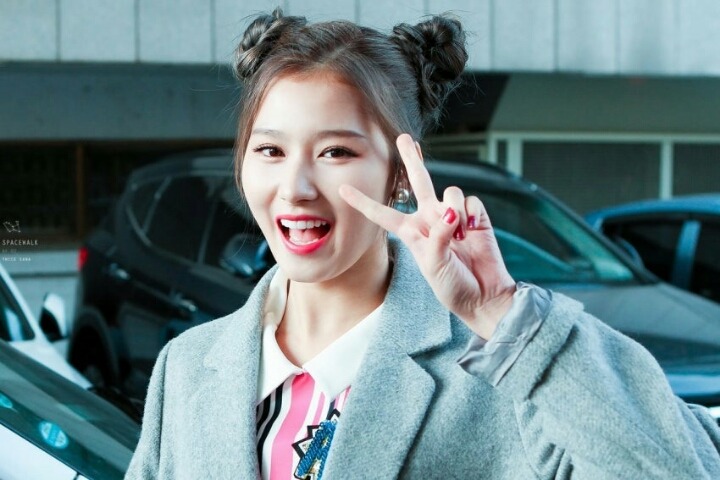 [트와이스] 큐트력만렙인 햄찌 사나 | 인스티즈