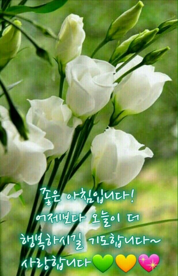 멋진하루 이미지