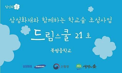 숲드림 이미지