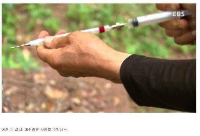 나는 아직 살수 있는데 왜 죽으라하나요 | 인스티즈