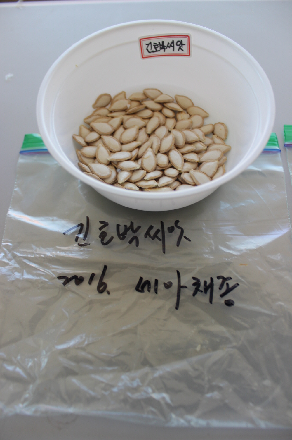 씨드림 이미지