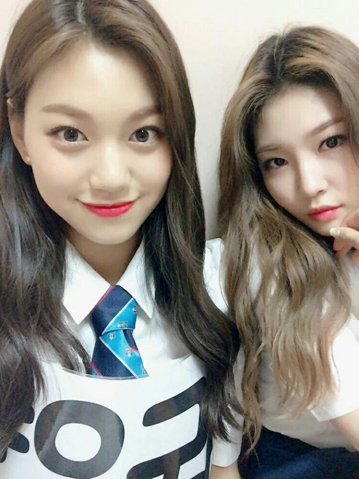 오이이 이미지