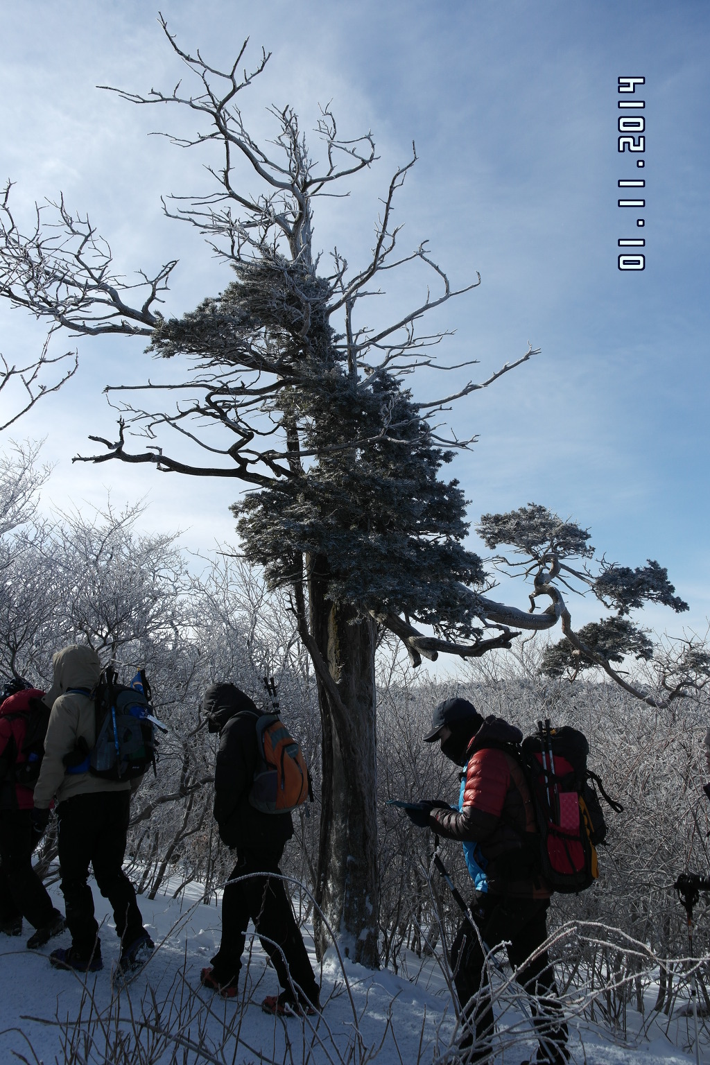 태백산 이미지