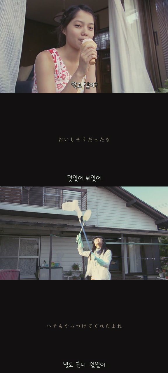 강아지의 삶 | 인스티즈