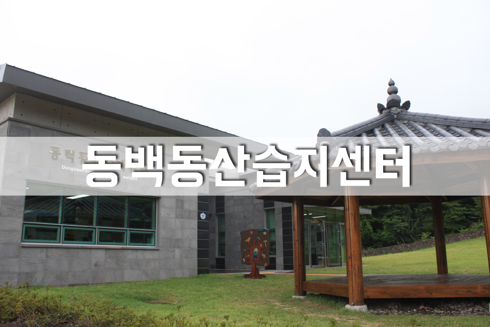 선흘리에 이미지
