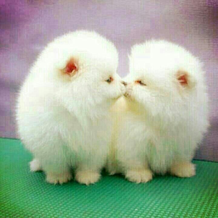 청소도우미 이미지