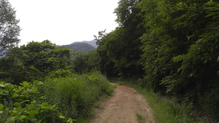 산길 이미지