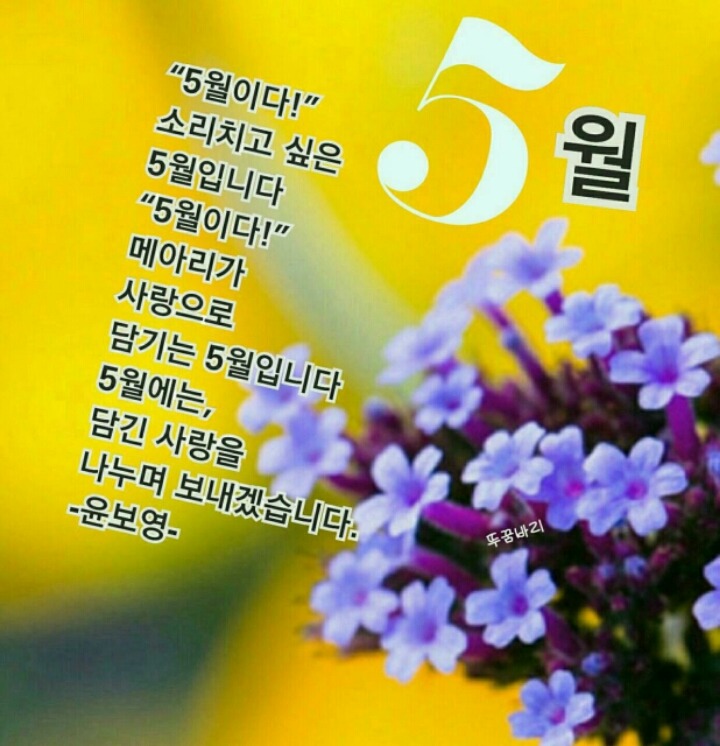 오월 이미지