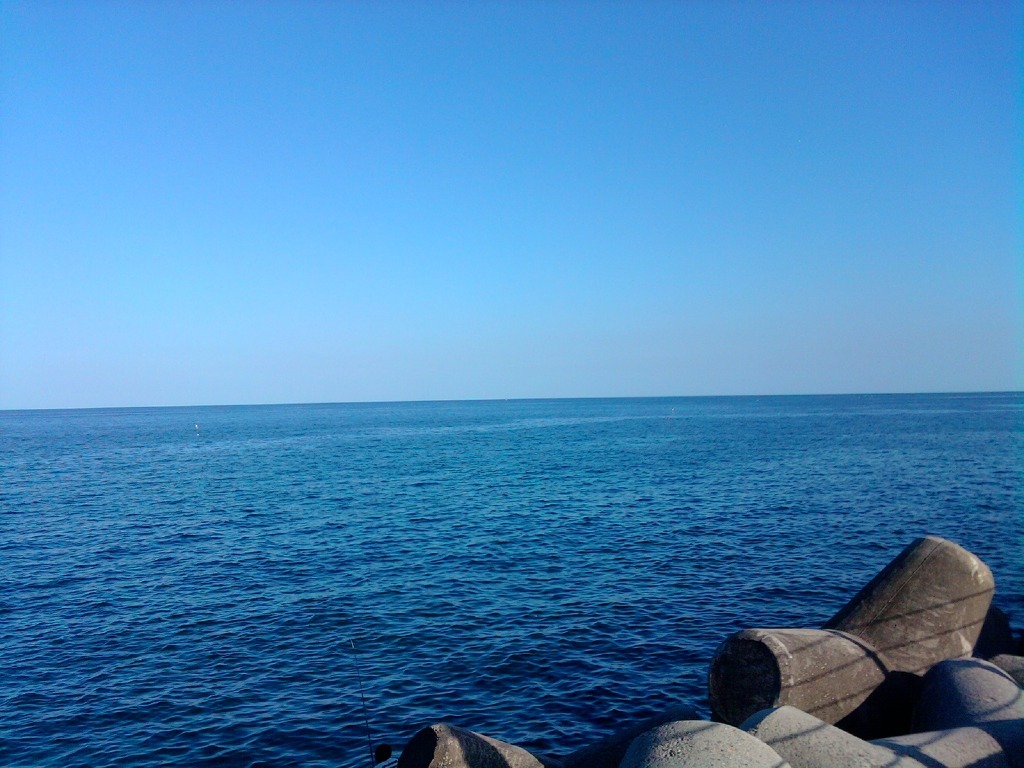 보고 있으면 가슴이 뻥하고 뚫리는 사진 | 인스티즈