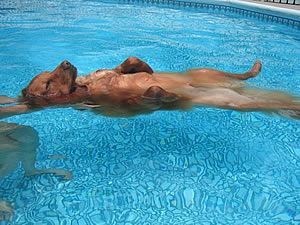 큰 개가 좋긔..ㅎ | 인스티즈