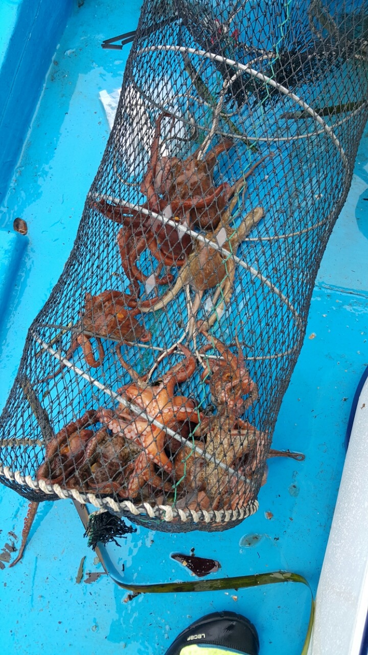 삼삼애드 이미지