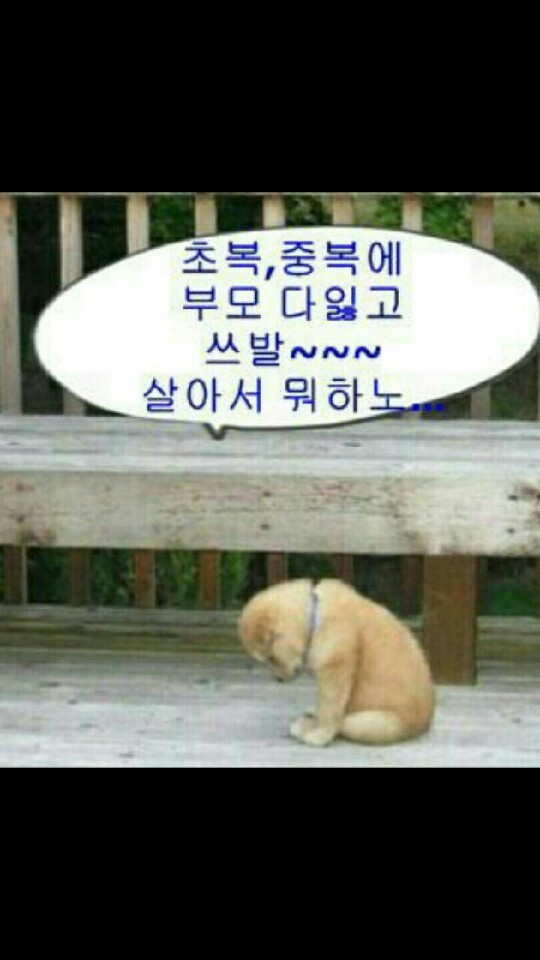 복 이미지